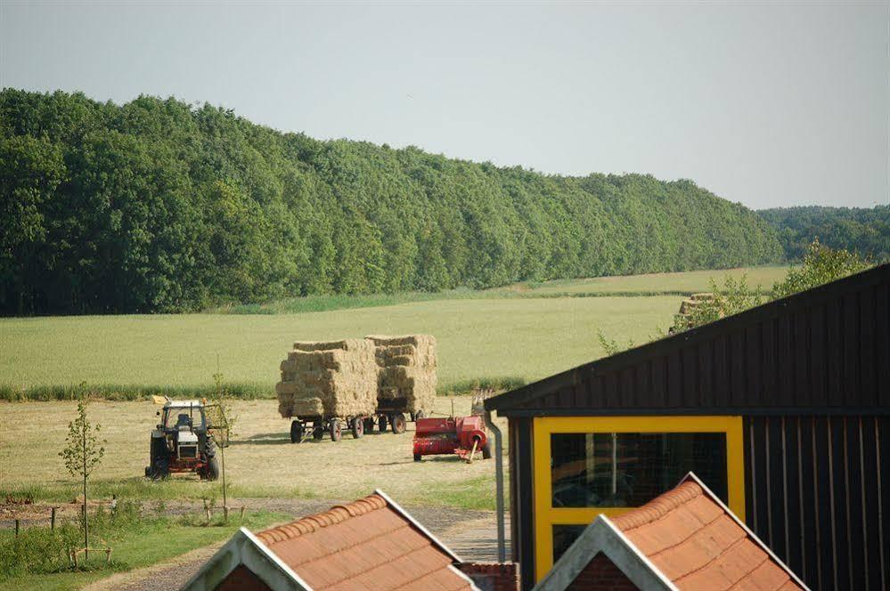 B&B Blauwestadhoeve Midwolda Exterior photo